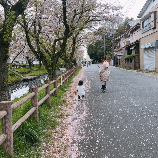 桜 俐娃